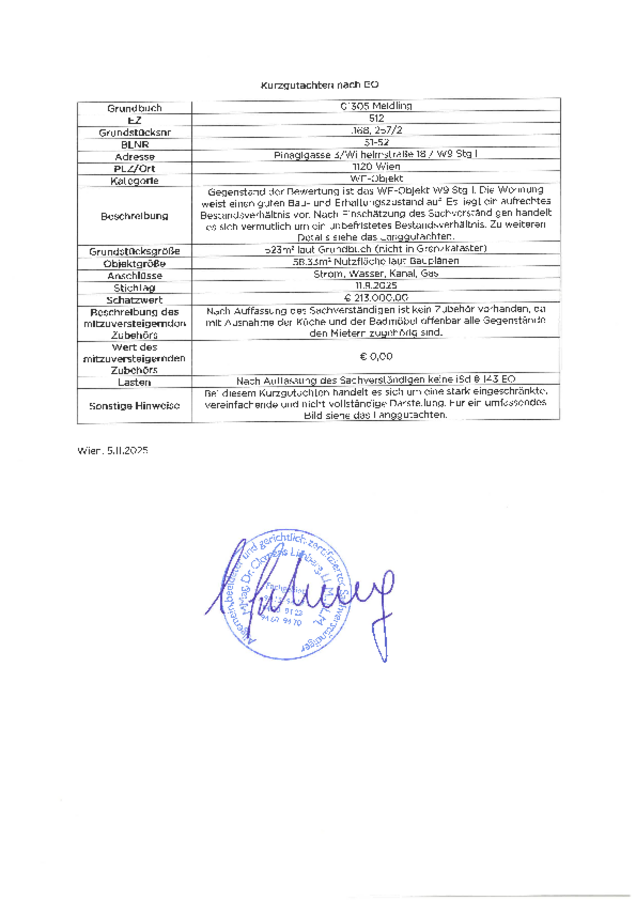 Kurzgutachten (2025-11-05).pdf